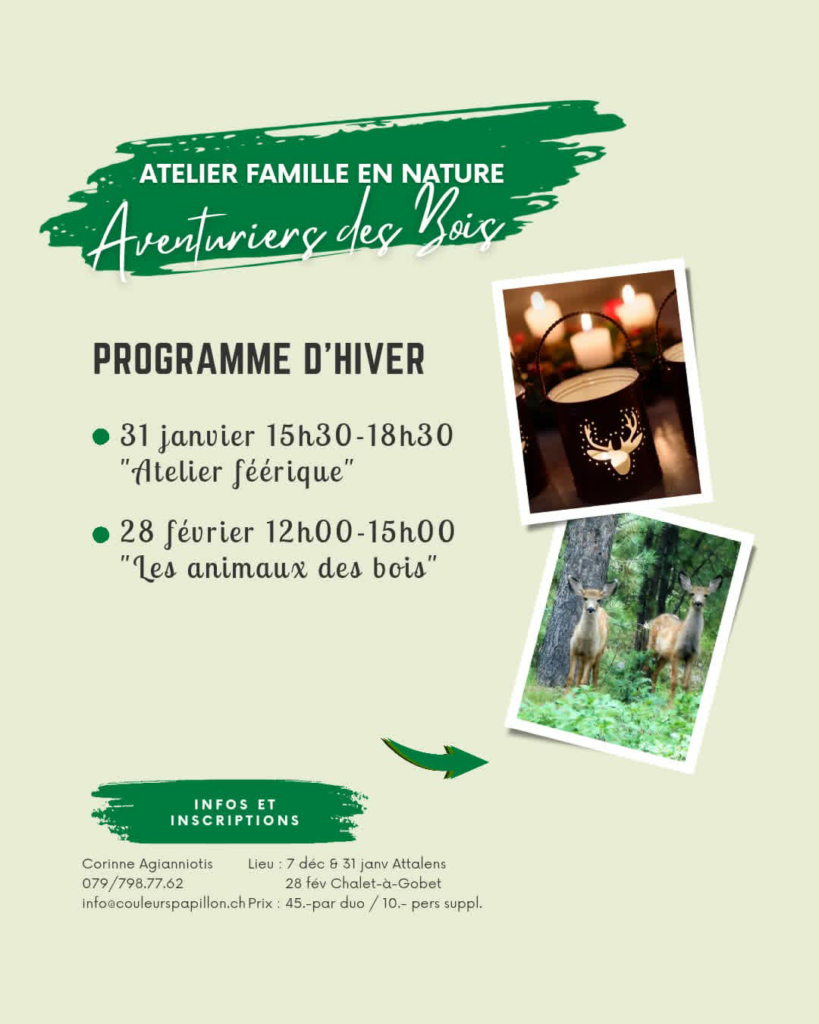 aventuriers des bois programme