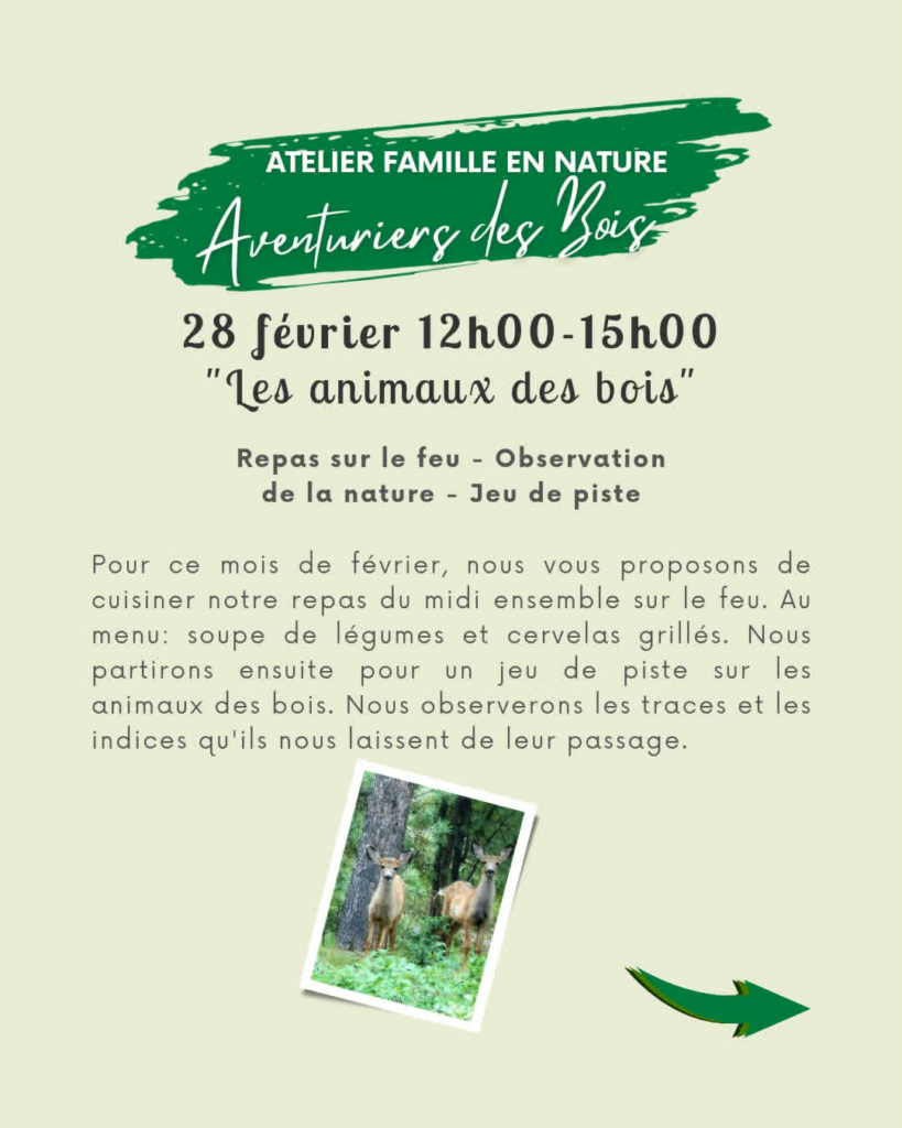 aventuriers des bois les animaux des bois