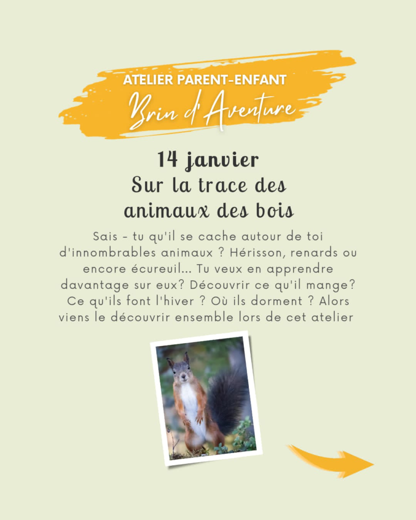 brin d'aventure sur la trace des animaux des bois